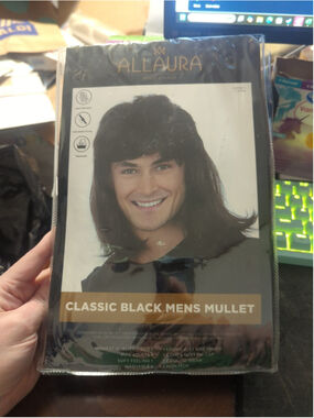 Allaura Waynes World Classic Black Mens Mullet Wig Costume Cosplay - NEW